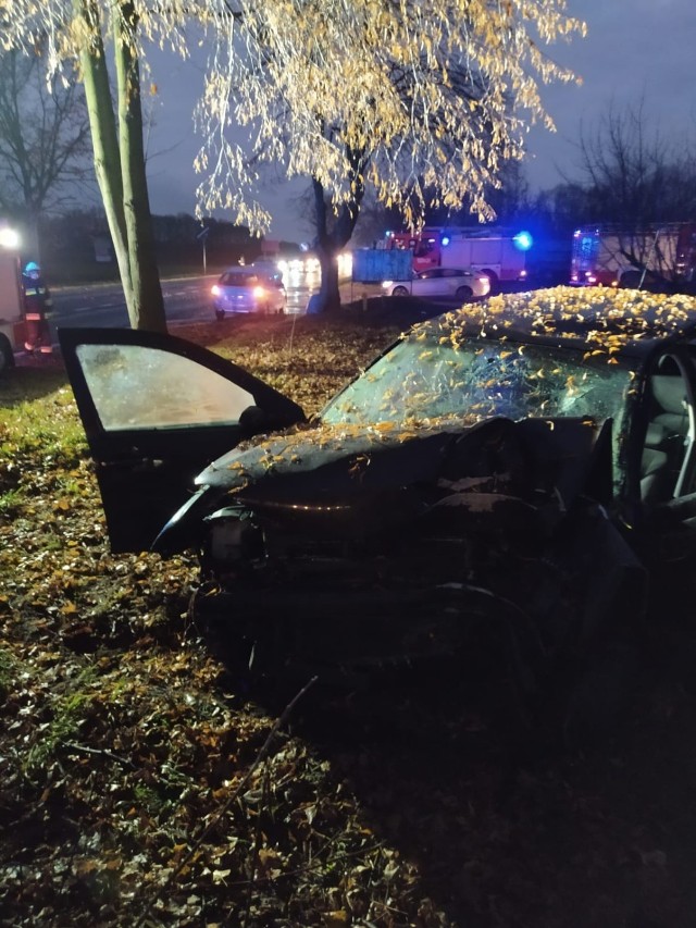 Wypadek na drodze krajowej nr 24 na wysokości Pólka pod Kwilczem. Auto osobowe uderzyło w drzewo (29.11.2020).