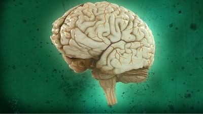 Myśliciele w starożytności postrzegali mózg jako tkankę,...