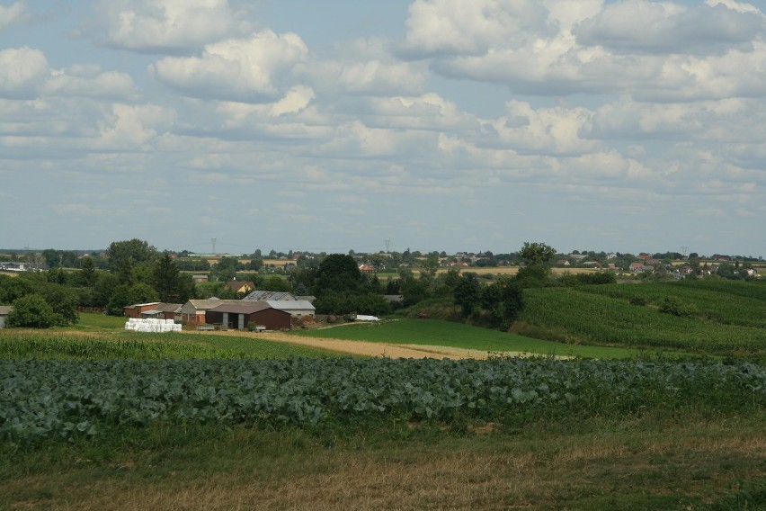 Niedaleko od drogi ekspresowej S17. Markuszów między Lublinem a Puławami kusi malowniczym krajobrazem