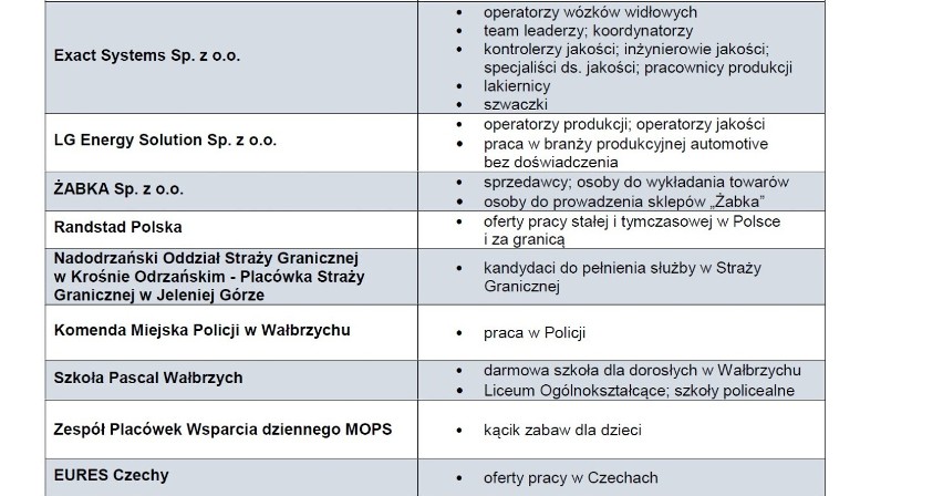 Pierwsze Międzynarodowe Targi Pracy w Wałbrzychu: pracodawcy...