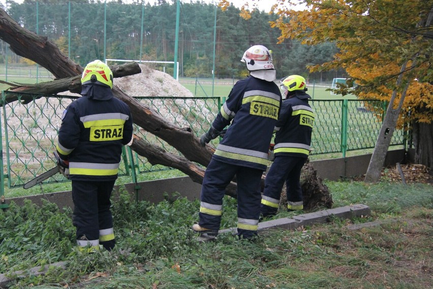 Zdunowscy strażacy znowu w akcji. Tym razem usuwali drzewo, które zawaliło się na płot stadionu! [ZDJĘCIA]    