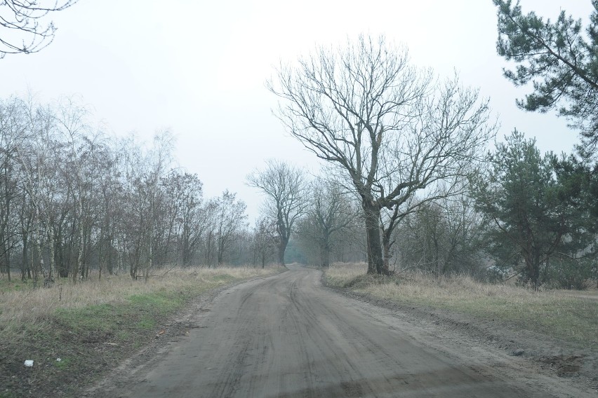 Żwirownia w Zaborowie - tędy pobiegnie nowa ścieżka