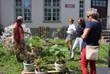 Na pikniku "Zielono Mi" przy bibliotece w Pruszczu mobilny ogród i ekologiczne rękodzieło