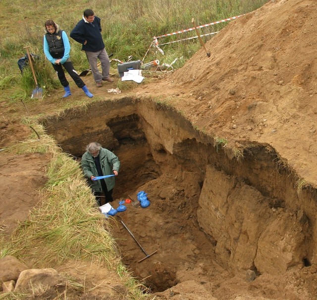 Kilkakrotnie na terenie Owidza były prowadzone wykopaliska.