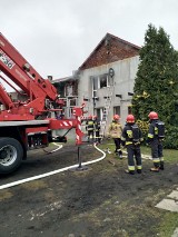 Pożar budynku mieszkalnego w Michałowie pod Zduńską Wolą [zdjęcia]