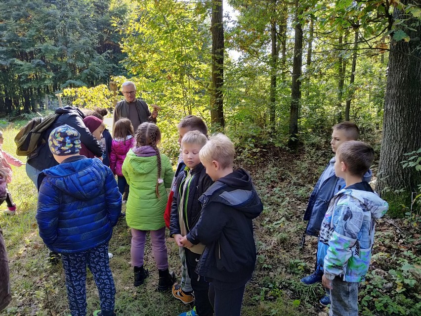 Uczniowie z wieluńskiej piątki na wycieczce w Leśnym Punkcie Edukacyjnym w Niżankowicach