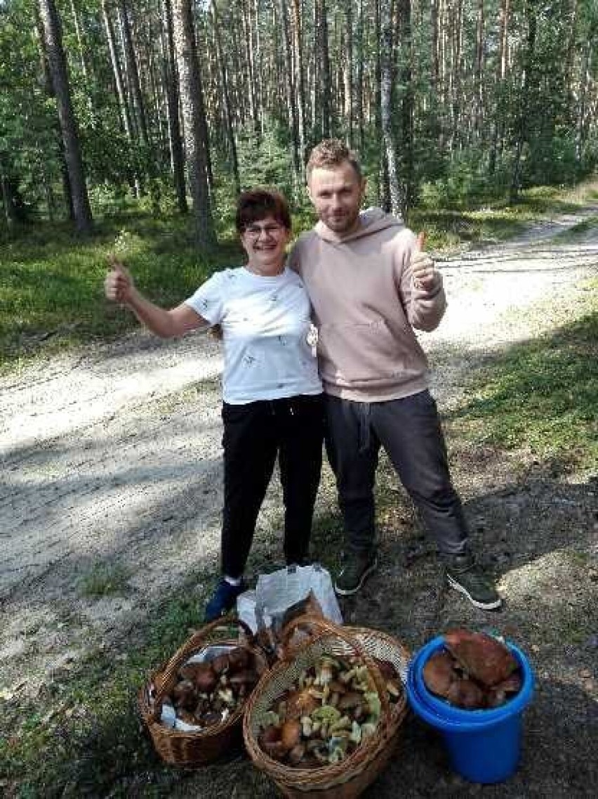 Rozpoczął się sezon na grzybobranie. W podkaliskich lasach można znaleźć piękne okazy. ZDJĘCIA