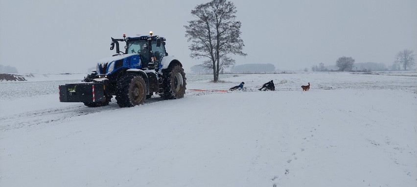 Pierwszy śnieg w powiecie obornickim. Mieszkańcy Tłukaw zorganizowali kulig [ZDJĘCIA]