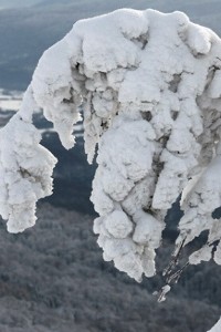 Sezon zimowy na terenie Bieszczadzkiego Parku Narodowego