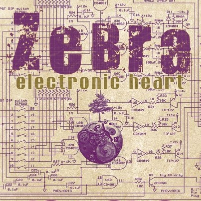 Zebra  - "Electronic Heart "