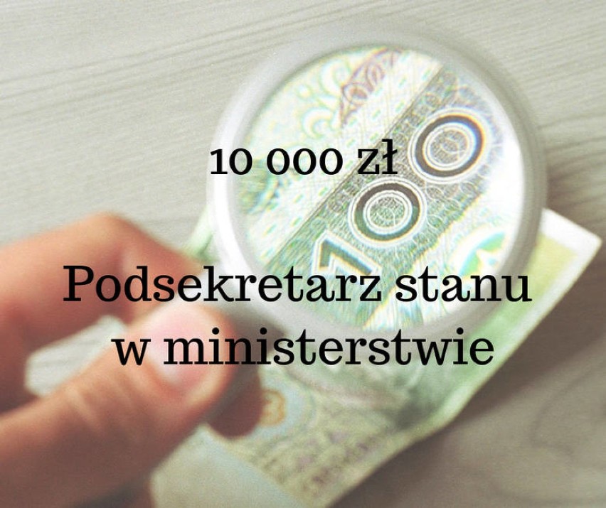 Zarobki samorządowców w województwie lubelskim. 11 tys. dla prezydenta Puław, 8 dla wójta Wąwolnicy 