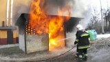 Będzin - Grodziec: Strażacy walczyli z płonącym śmietnikiem [WIDEO]