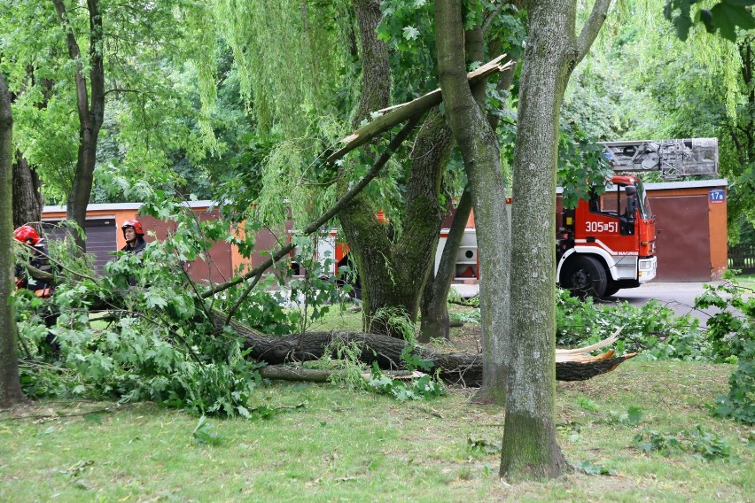 Wichura nad Łodzią. Połamane drzewa i uszkodzone samochody [ZDJĘCIA]