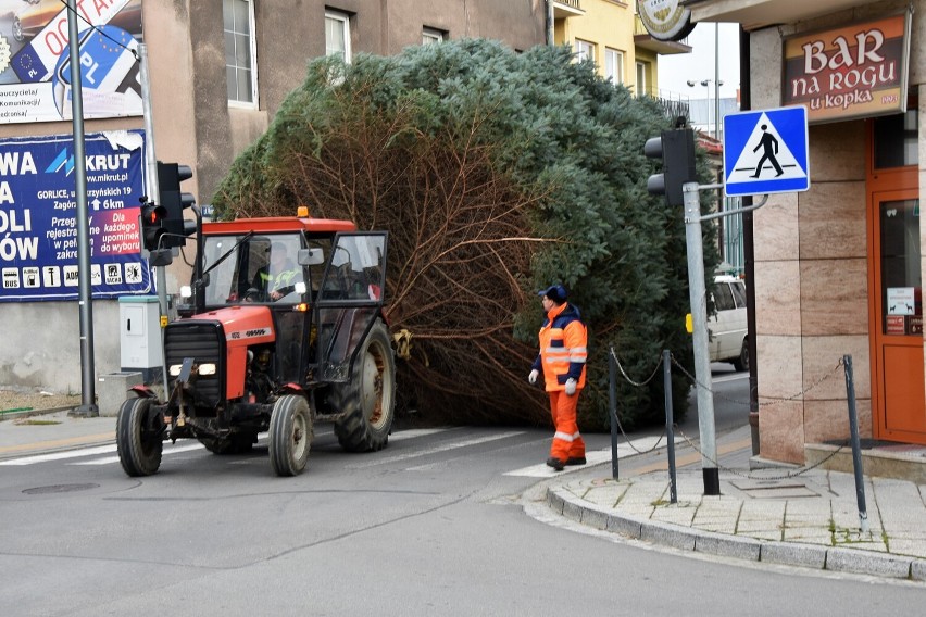 O tej choince która stanęła na gorlickim Rynku nikt nie...