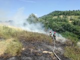 Mszana Dolna. Spłonęły 2 hektary gruntów rolnych. Utrudniona akcja strażaków. 