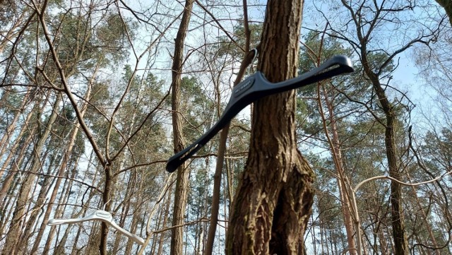 Na wielu drzewach wiszą białe i czarne, plastikowe wieszaki.