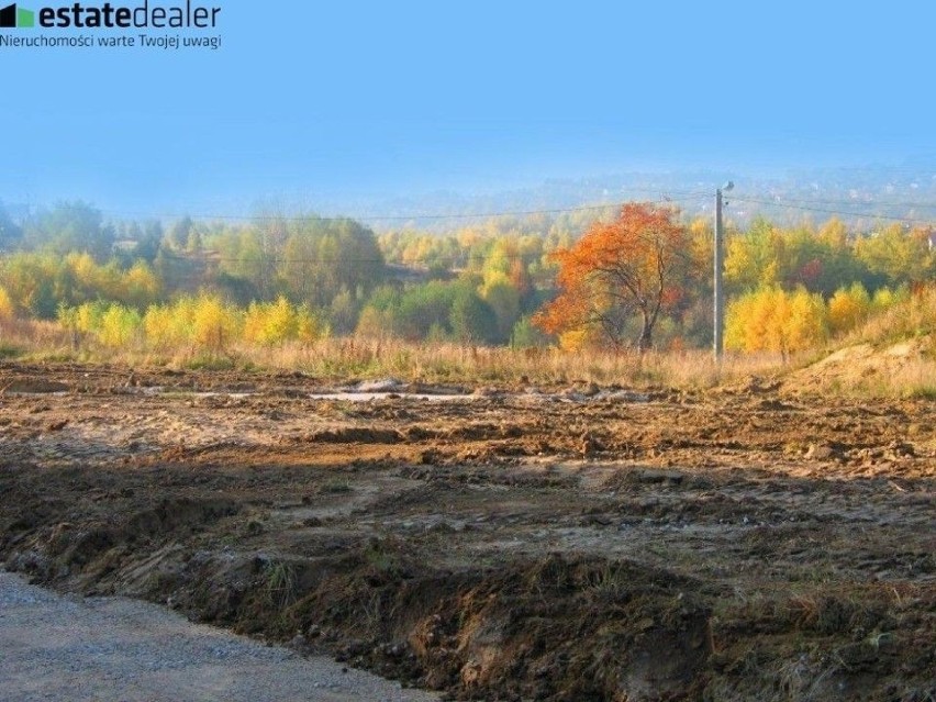 Zobacz więcej zdjęć: działka Drużbackiej

Ta 500-metrowa...