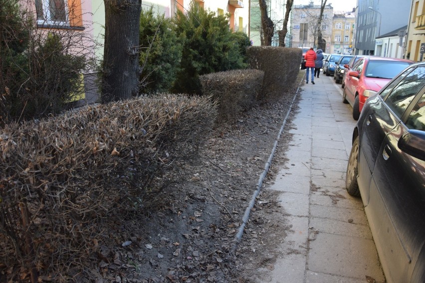Zniszczony trawnik, nieuprzątnięte liście i niebezpieczne przejście. Mieszkańcy ulicy Wspólnej w Kielcach czują się zapomniani