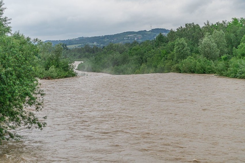 Nowy Sącz. Rzeka Kamienica i potok  Łubinka w normie, tylko w Dunajcu przybywa wody [ZDJĘCIA]
