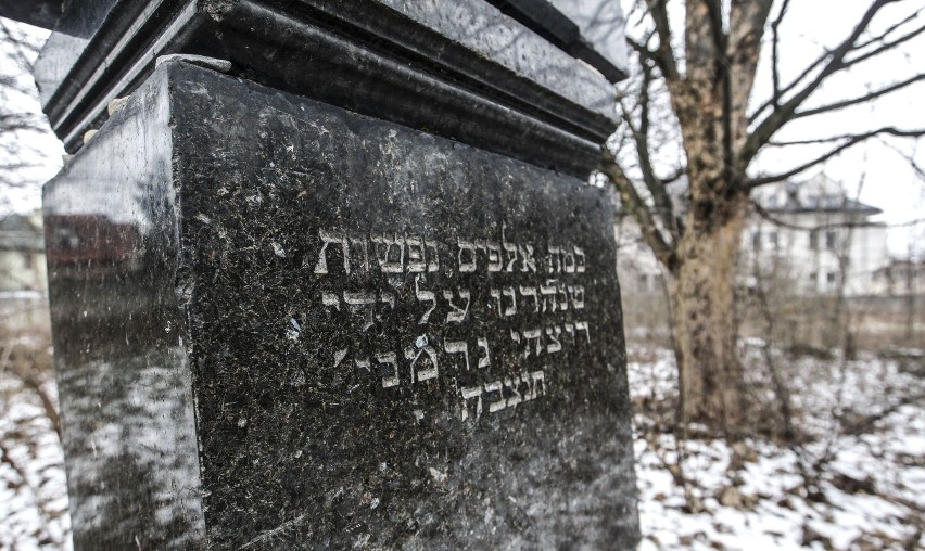 Obchody Międzynarodowego Dnia Pamięci Ofiar Holokaustu na cmentarzu żydowskim w Rzeszowie [ZDJĘCIA]