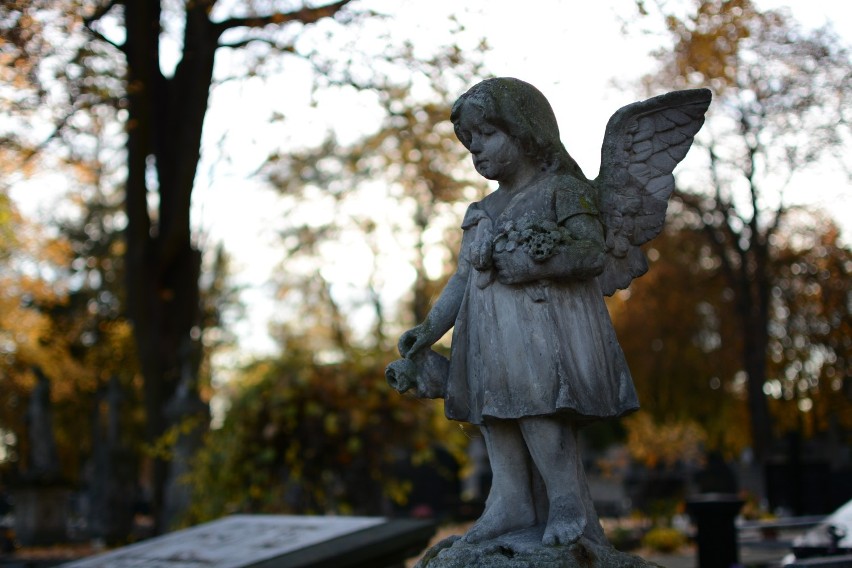 Cmentarz na Lipowej. Kwesta na odnowę zabytków rozpocznie się 29 października