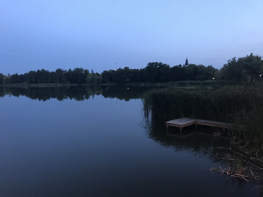 Jezioro Miejskie w Międzychodzie coraz bardziej zarasta i...