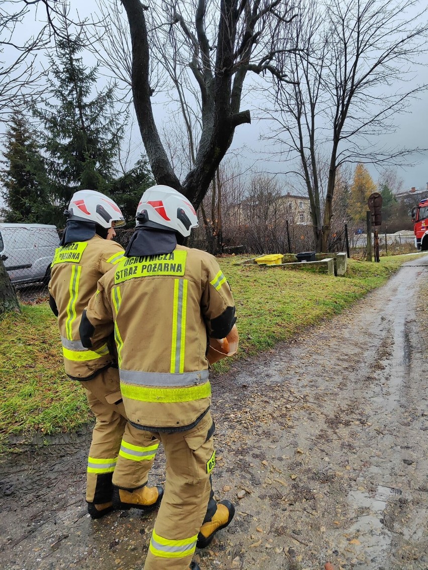 Nietypowe interwencje strażaków z Wałbrzycha. Mężczyzna uwięziony w windzie, a sarna zakleszczona w płocie