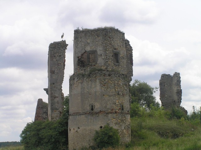 Ruiny zamku w Majkowicach.