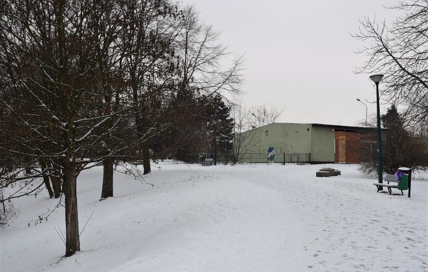 Czy Park Przyjaźni to dobre miejsce na aleję Miast...