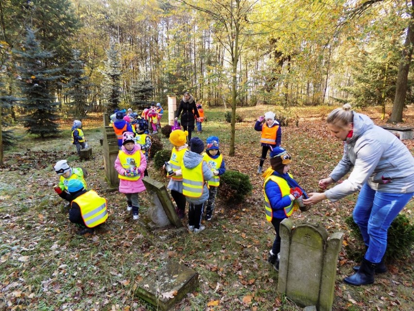 Przedszkolaki na Ewangelickim Cmentarzu w Stefanowie, w ramach akcji "Szkoła Pamięta" - 2019