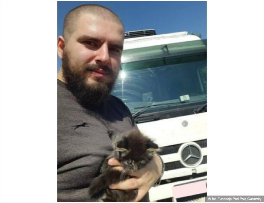 Kierowca ciężarówki uratował małego kotka. Był w reklamówce na poboczu drogi 