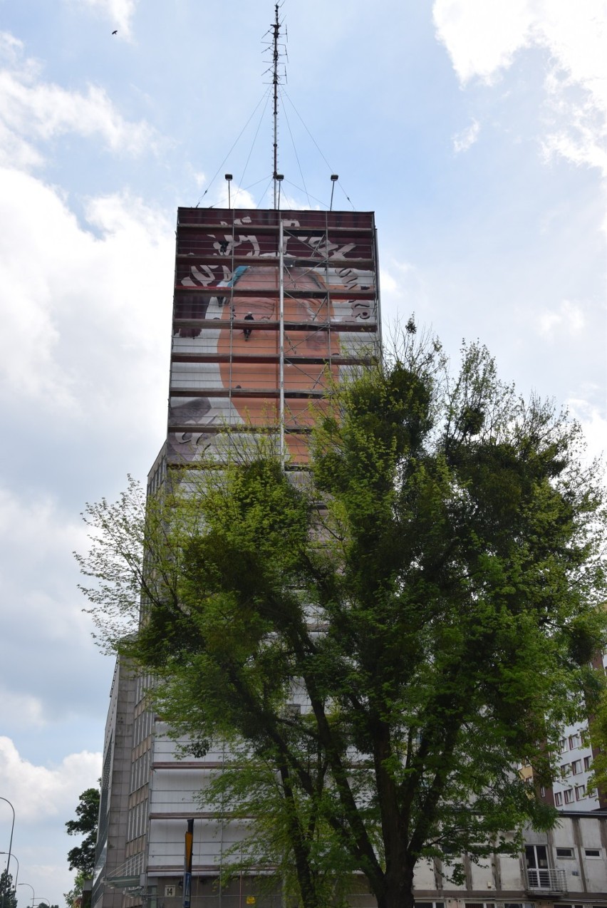 Nowy mural w Białymstoku. Powstaje na ścianie budynku uniwersytetu przy ul. Skłodowskiej [zdjęcia]