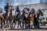 Policyjne konie z Tomaszowa przeszły w Łodzi atestację przed nowym sezonem [ZDJĘCIA]