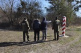 Dwóch obywateli Mołdawii  Straż Graniczna  zatrzymała  w okolicach Dorohuska