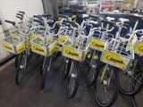 Będzie 50 nowych rowerów miejskich w Chodzieży