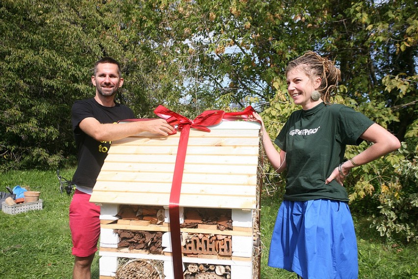 Adoptuj Pszczołę - w Warszawie powstał pierwszy hotel dla pszczół