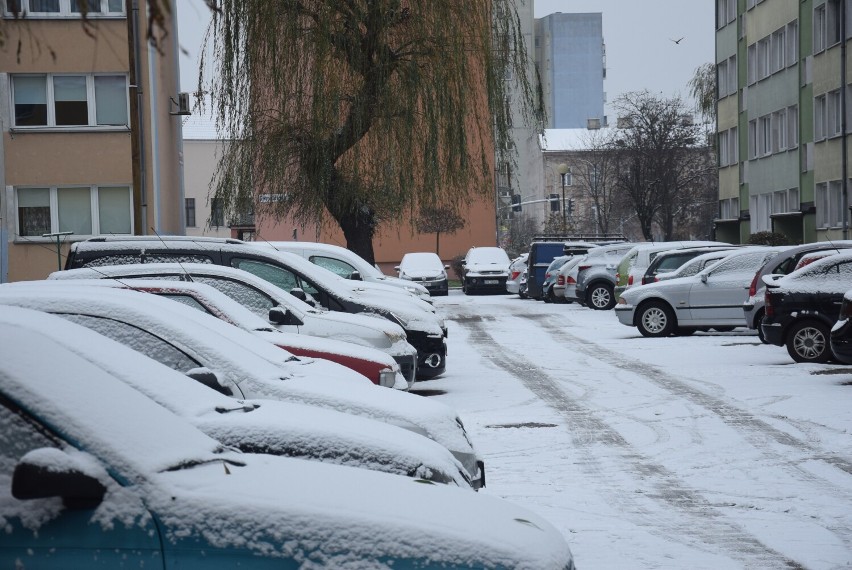 W Kaliszu spadł pierwszy śnieg. Tak wygląda delikatna biała...
