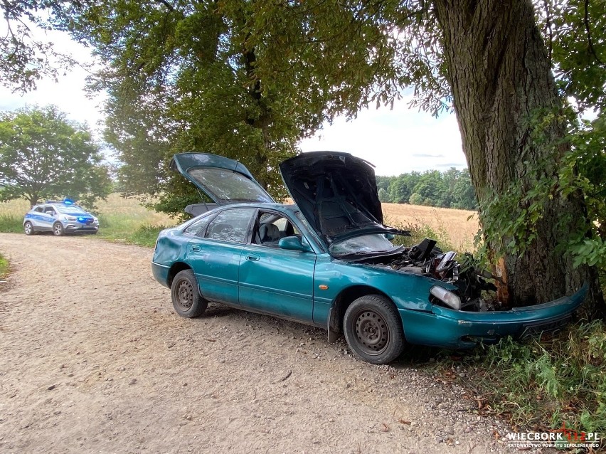 Na trasie Komierówko-Sępólno mazda uderzyła w drzewo....