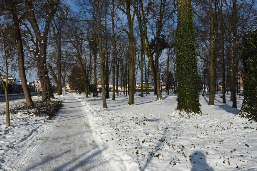 Prawdziwa zima w Janowie Lubelskim. Miasto całe w śniegu. Zobacz zdjęcia