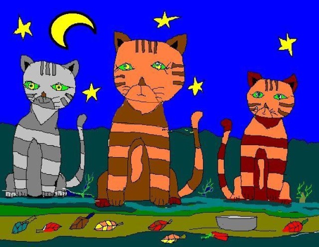 Trzy koty