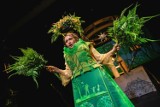 Teatr "Maska" zaprasza w niedzielę, 5 maja na spektakl "Pradawne drzewo"