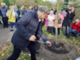 Na Cmentarzu Centralnym posadzono kolejne Drzewka Pamięci