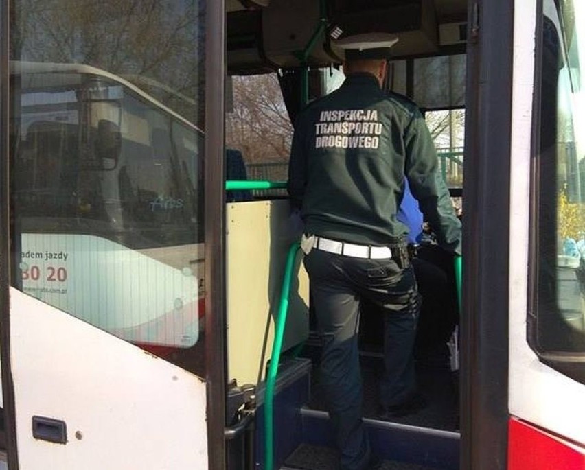 Ponad 80 autobusów skontrolowali inspektorzy transportu...