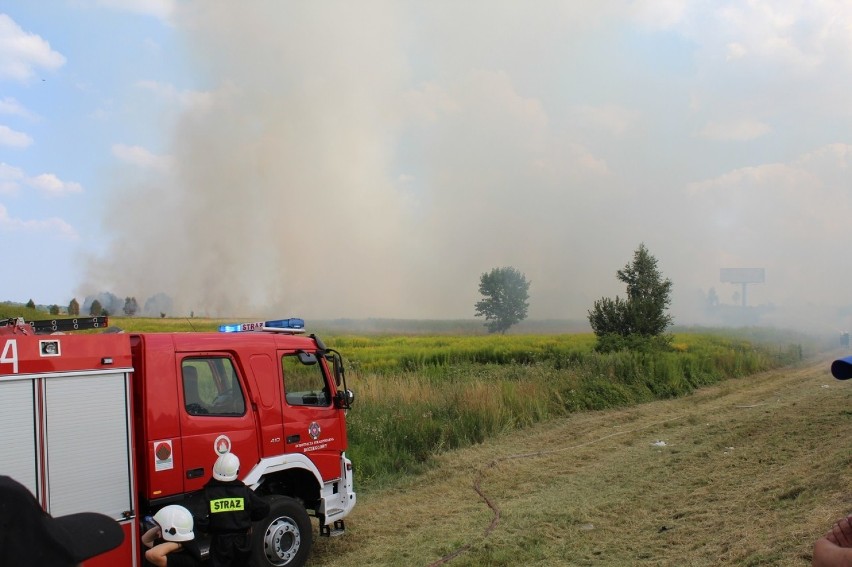 DZ24: Pożar traw w Koziegłówkach: Dym przeszkadzał kierowcom jadącym DK 1 [ZDJĘCIA]