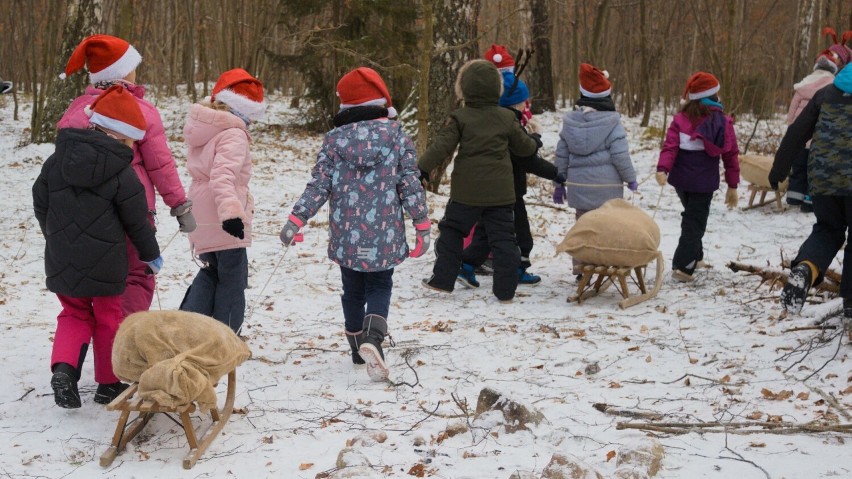 Piknik z Mikołajem już w sobotę w Żuławce. Na dzieci czeka cała masa atrakcji!