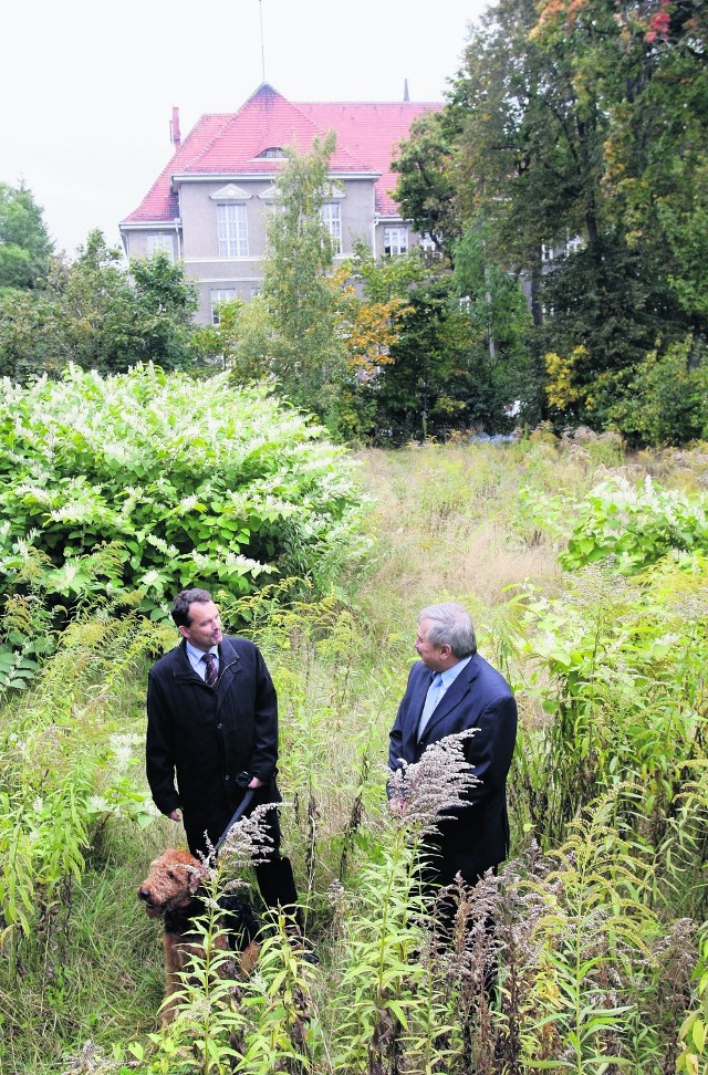 &#8233;Polanki 7.  Dziś są tu tylko krzaki, za rok będzie przychodnia&#8233;.