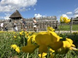 Oto nowe atrakcje w Biskupinie na sierpień i wrzesień 2023 roku. Mamy szczegóły - Muzeum Archeologiczne zaprasza!