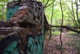 Lasek Aniołowski w Częstochowie w jesiennym wydaniu - zobacz ZDJĘCIA. To miejsce z niezwykle ciekawą historią!