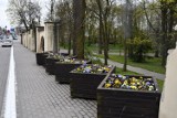Przełom w... sprawie dziury w zabytkowym murze przy parku miejskim w Kielcach (ZDJĘCIA)