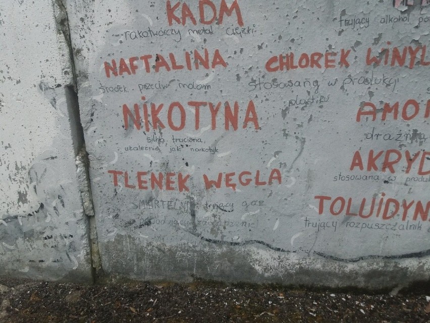 Nietypowy mural ,,zdobi'' ogrodzenie jednej z międzyrzeckich...